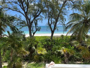 House, 3 Bedrooms | Beach - Hohum - Private Beachfront House On Exclusive Windermere 3 Bedroom Home (Savannah Sound)