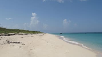 Condo, Multiple Bedrooms | Beach