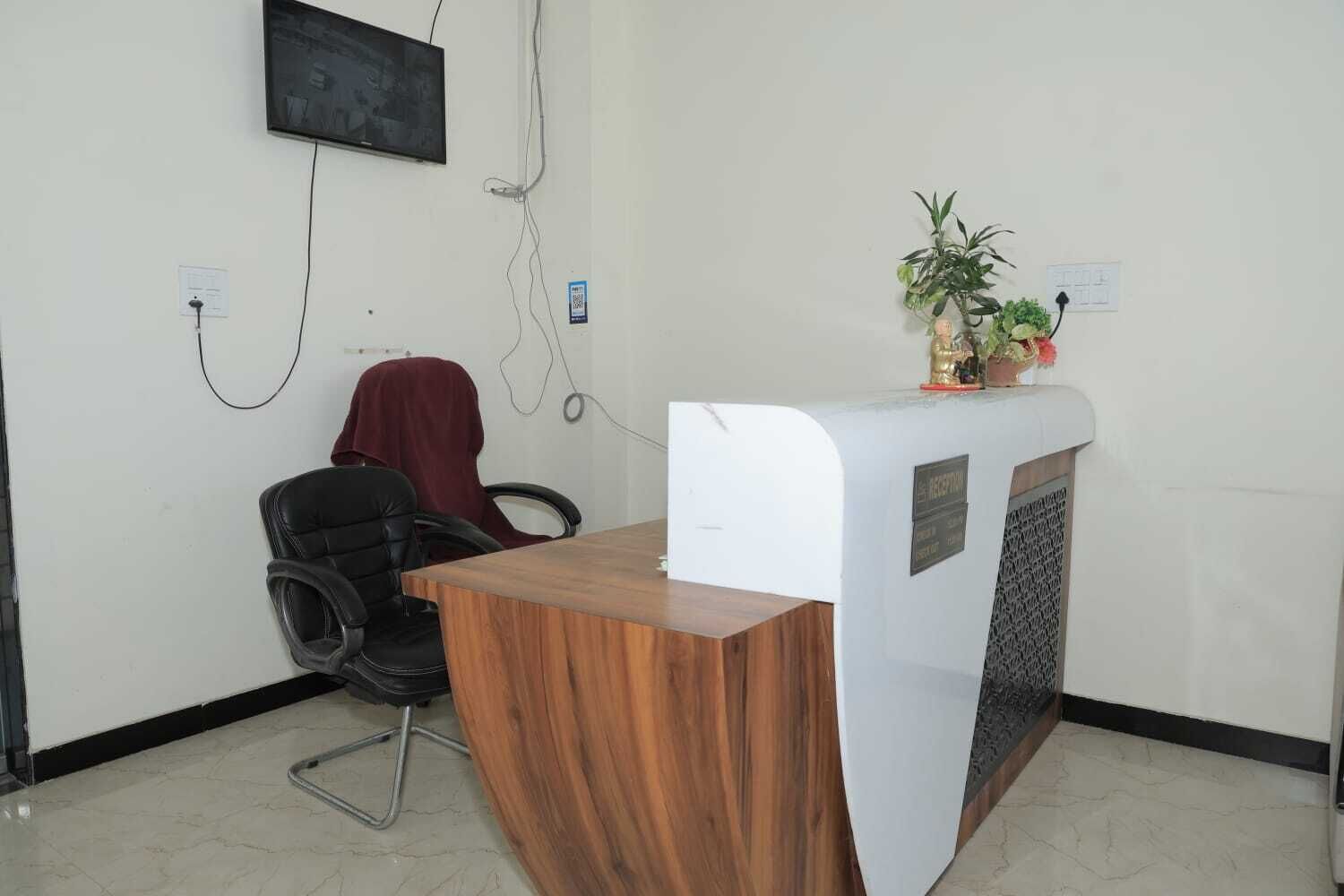 Un comptoir d’accueil avec un revêtement en bois, une chaise de bureau noire et une plante en pot posée sur le dessus.
