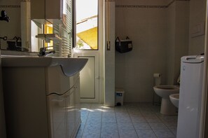 Shower, hair dryer, bidet, towels