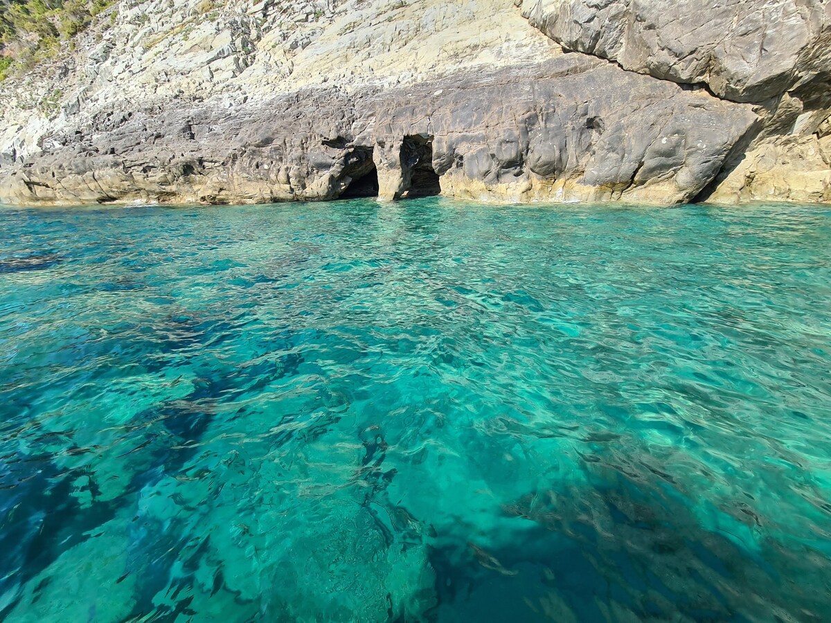 Bild für Gastgeberprofil