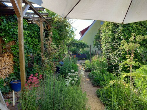 Ferienhaus 'Ruhe Pur Im Horst' mit eigenem Sitzbereich und Blick übers Land.