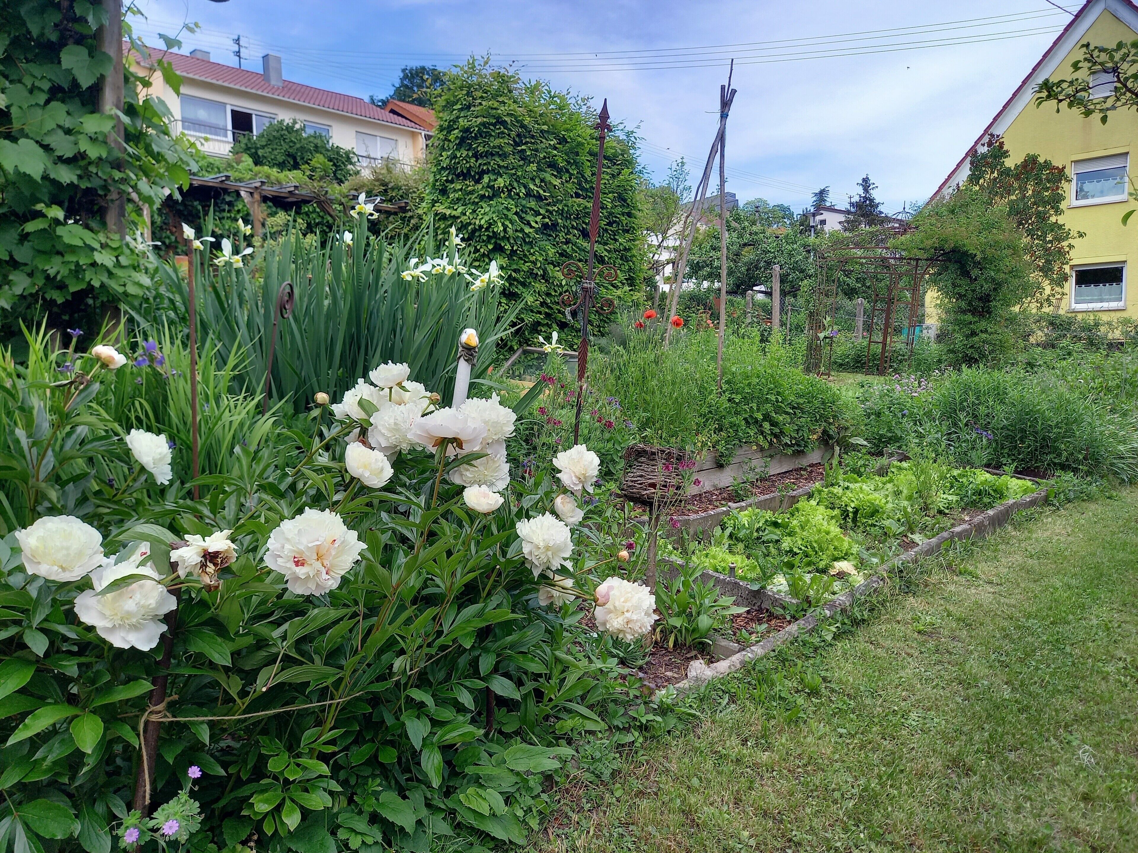 Áreas de la propiedad