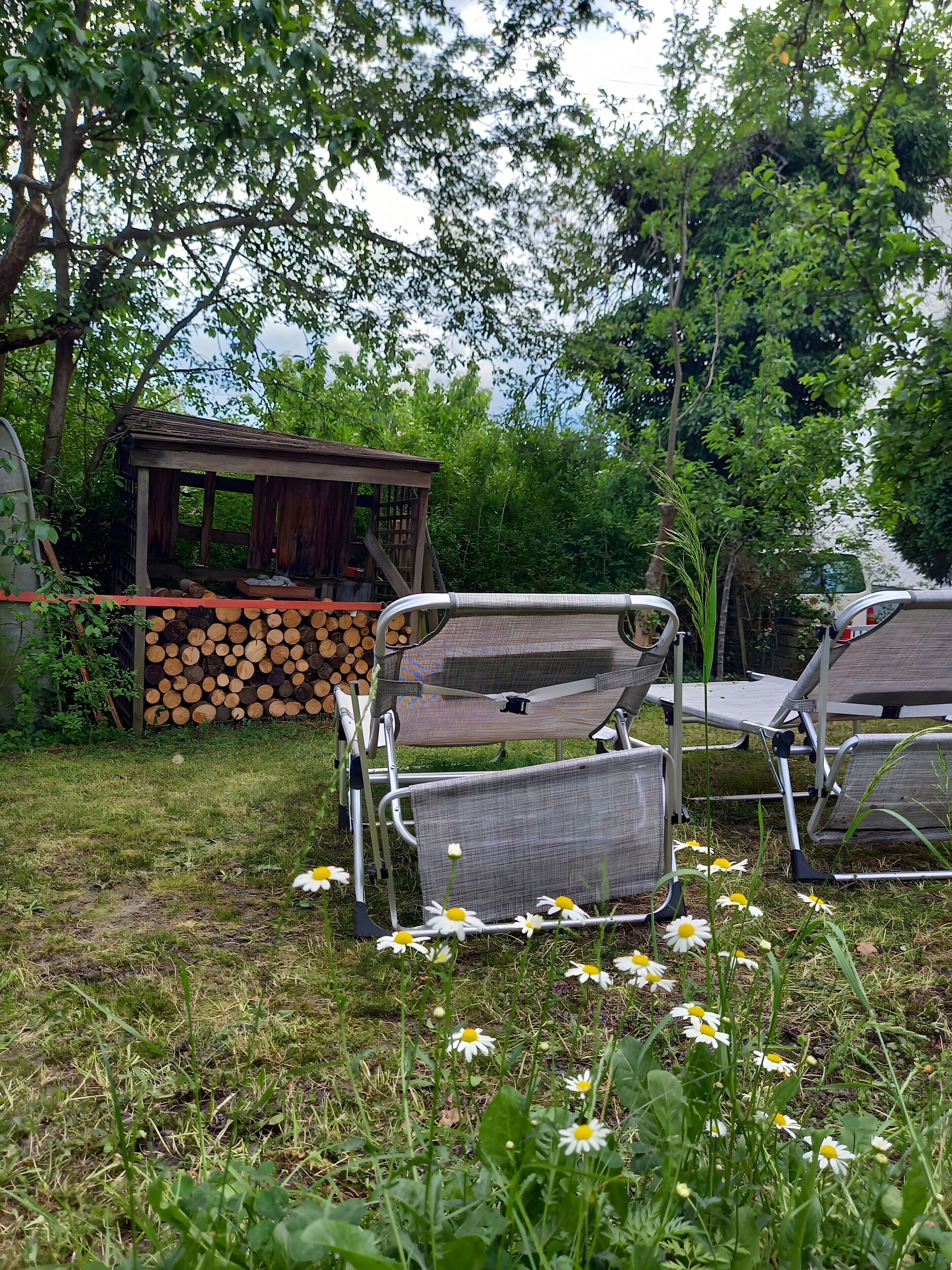 En lusthus med ett tak av trä, en hög med ved och metallstolar på en gräsyta med prästkrage.