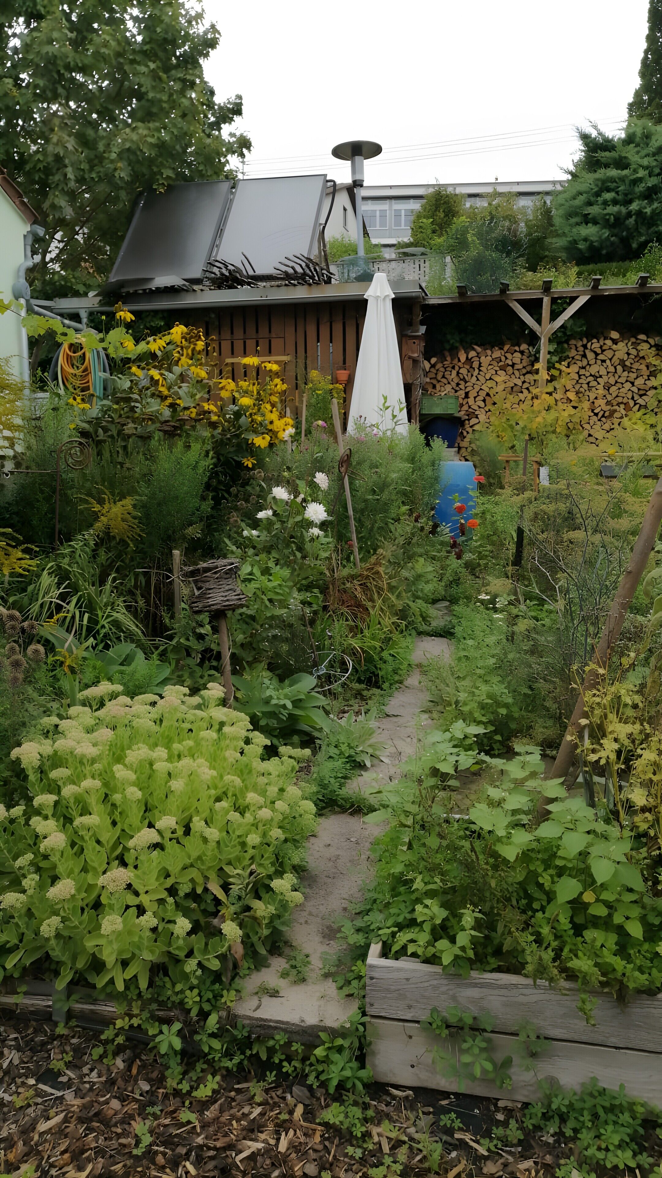 Un jardín con diversas plantas y flores, una estructura de madera y un edificio al fondo.