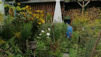 Un jardín con diversas plantas y flores, una estructura de madera y un edificio al fondo.