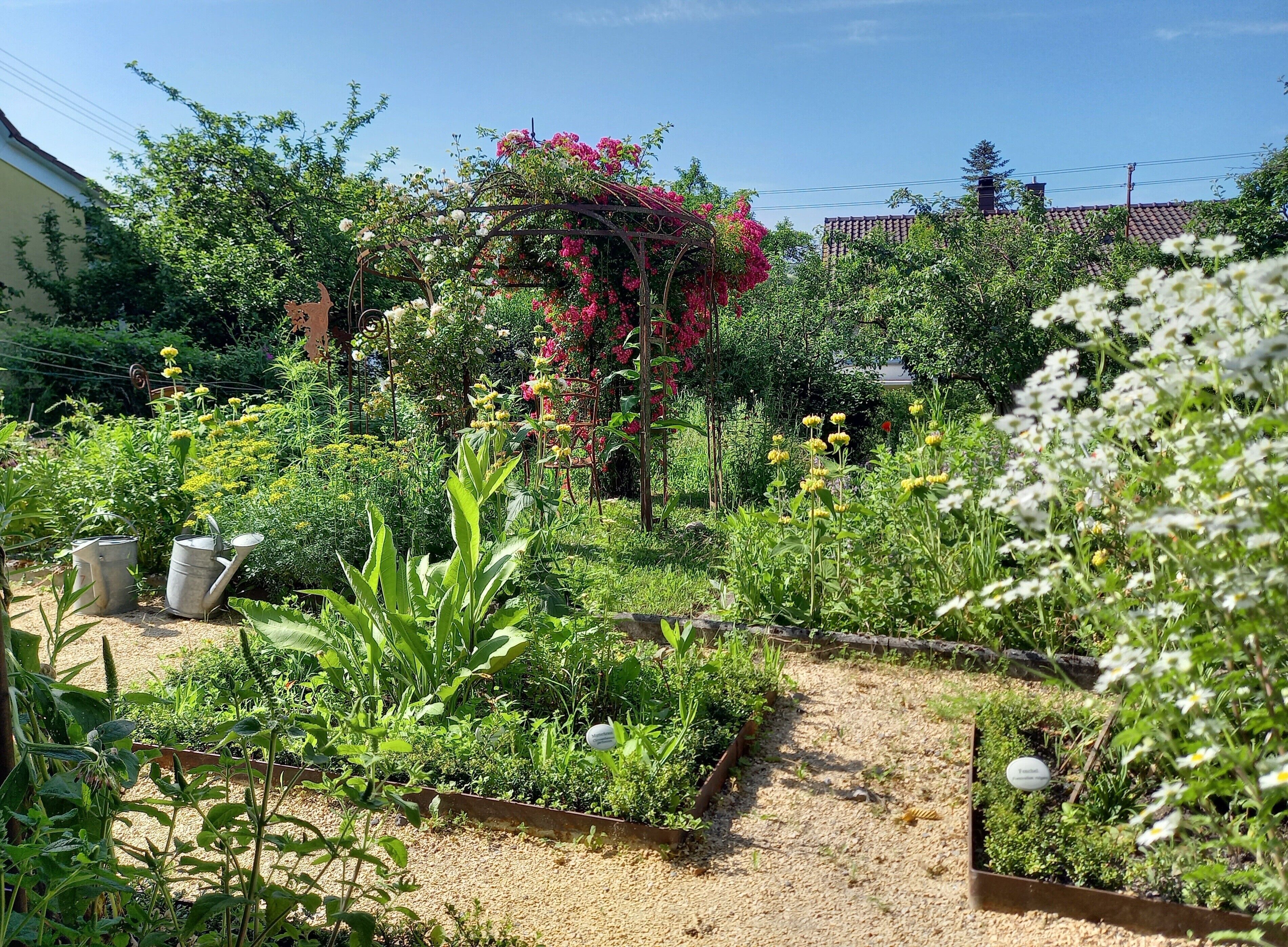 En have med forskellige planter og blomster, et træbeklædt espalier og en grussti.