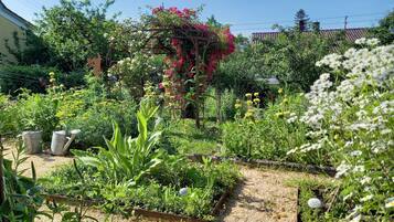 En have med forskellige planter og blomster, et træbeklædt espalier og en grussti.