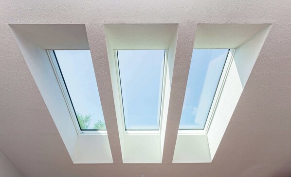 Unclassified image, 1 of 36, button