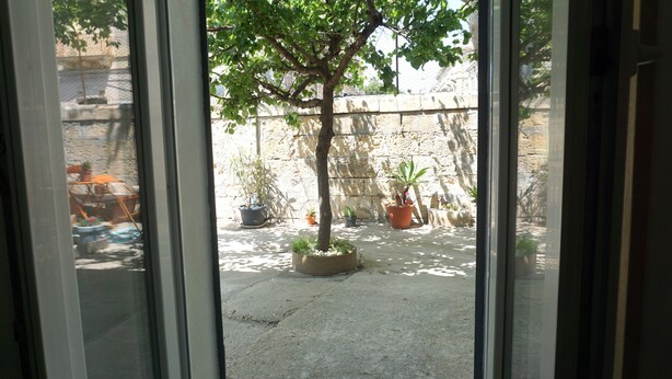 Blick durch ein Fenster auf einen Innenhof mit einem Baum, Topfpflanzen und einer Steinmauer.