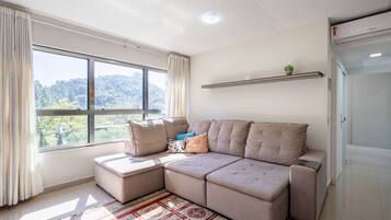 A modern living room with a sectional sofa, a large window with curtains, a patterned rug, and a small plant on a shelf.