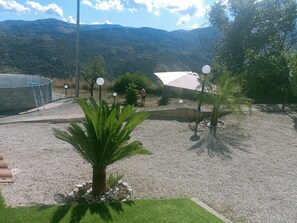 A landscaped outdoor area with a palm tree, a stone pool, and a pergola with lights.
