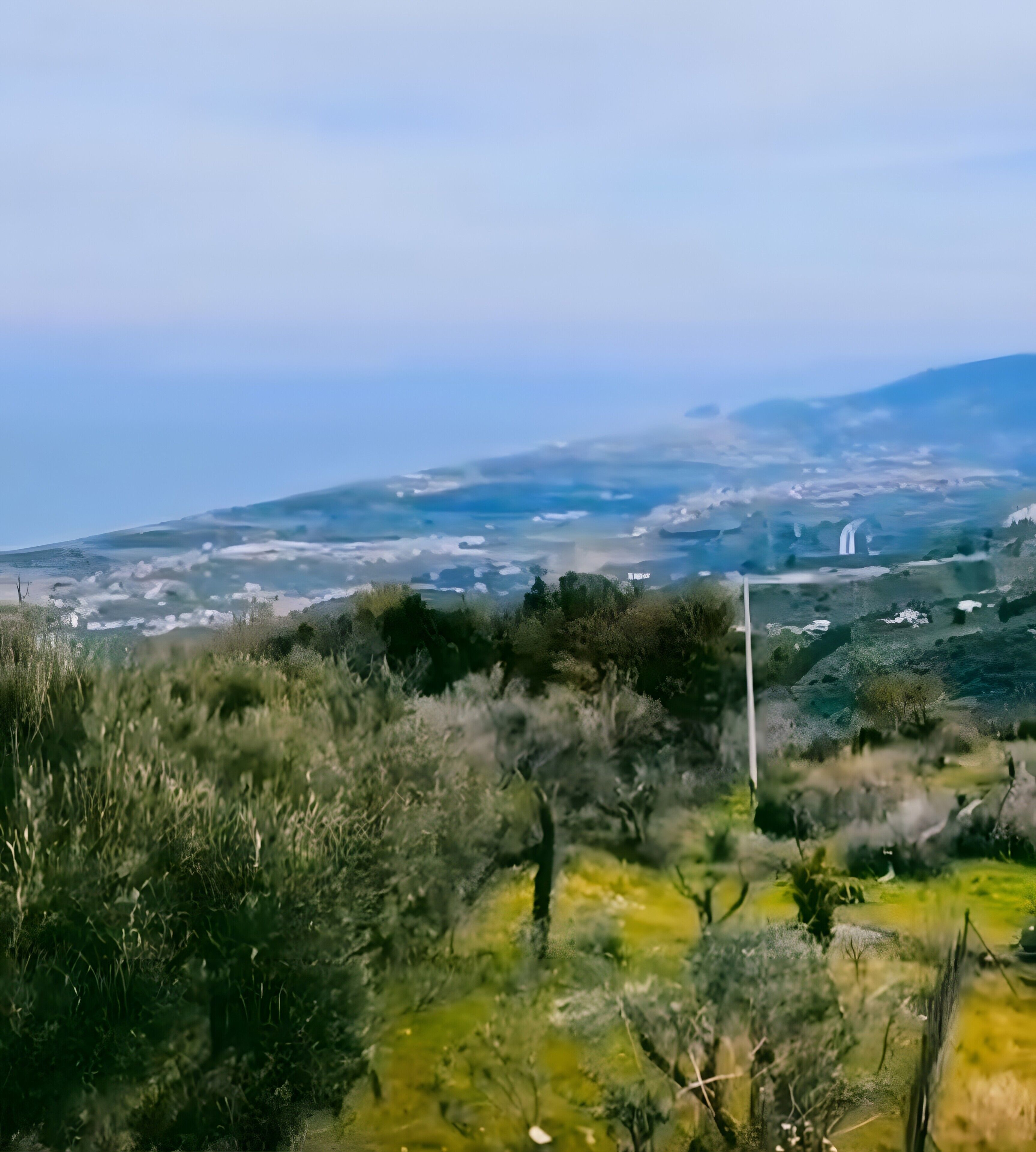 Paisaje con una turbina eólica, vegetación y colinas al fondo.