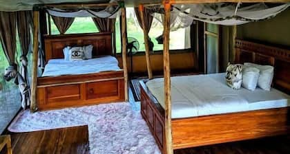 Double G Safaris and Camp Mikumi