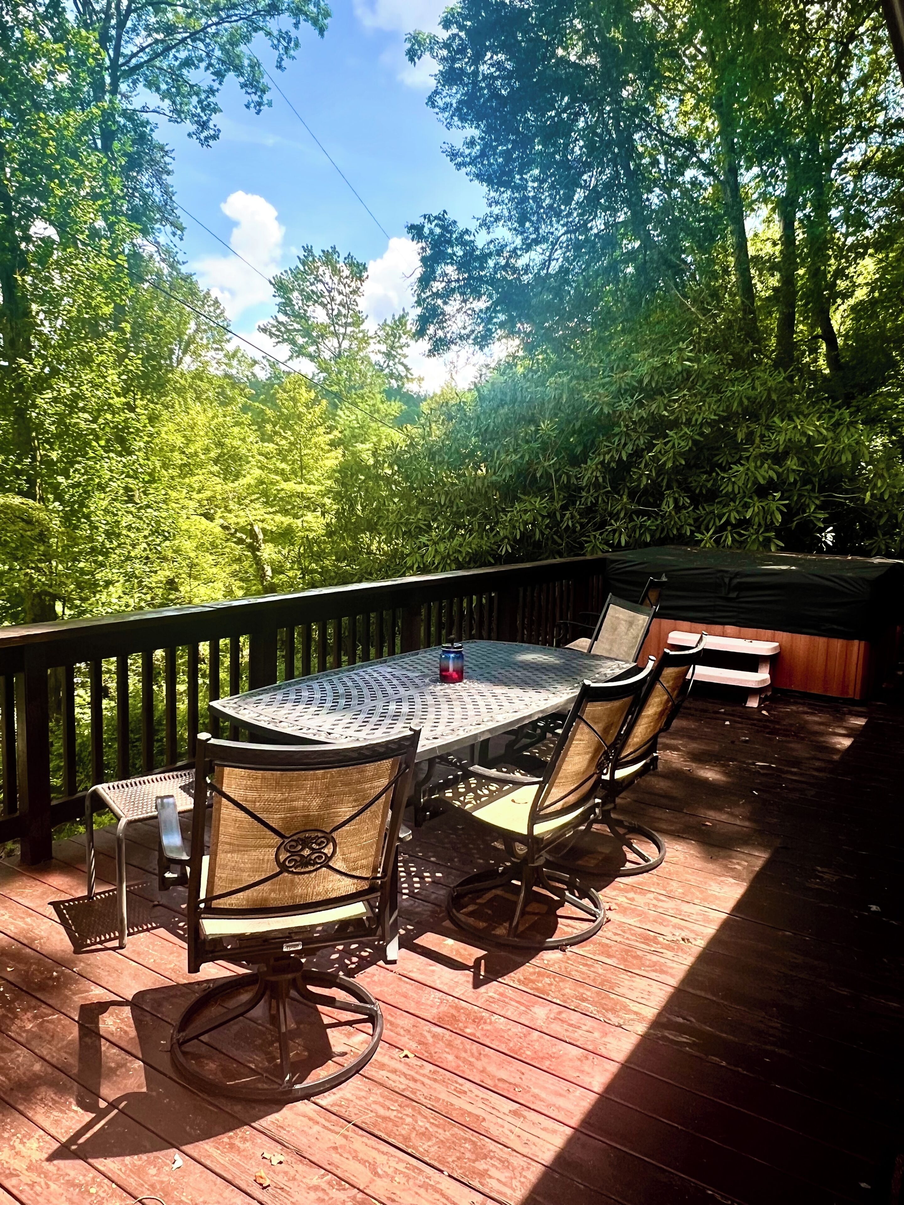 Hot Tub, Outdoor dining with lake Mtn view.