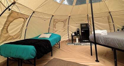 Stargaze at Crater Diamonds