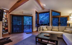 Smart TV, fireplace, DVD player, books