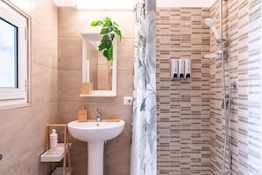 Shower, hair dryer, bidet, towels