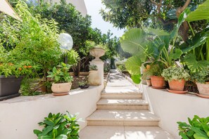 Un sendero bordeado por macetas con plantas que conduce a la entrada de un edificio.