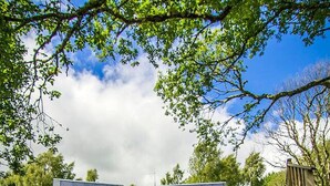 A modern house with a pond in front, surrounded by greenery and trees. - Wishing Well Cottage at Loch Tay & Hot Tub (Perth and Kinross)