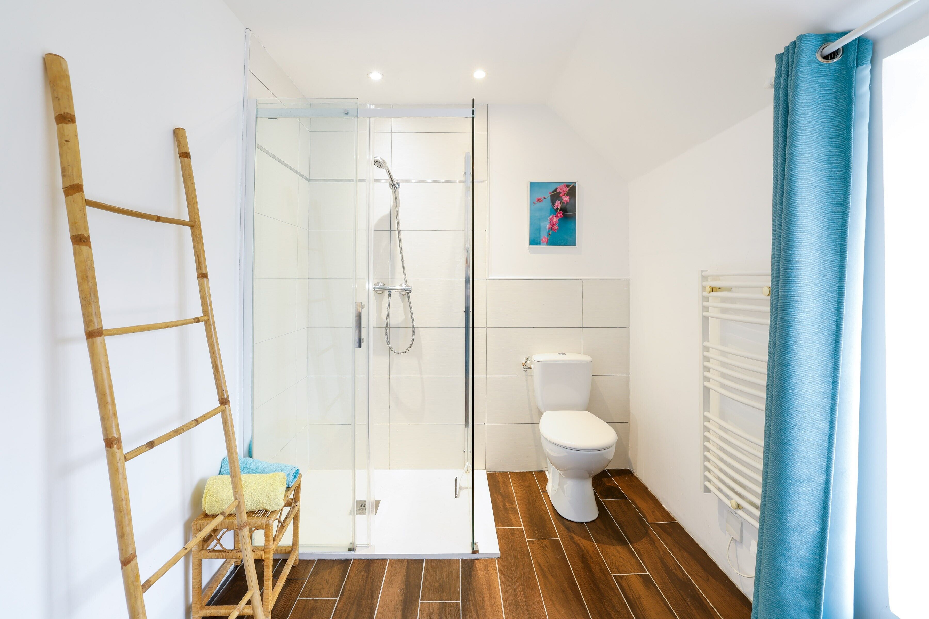 Shower, hair dryer