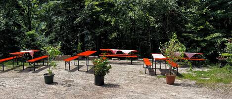 An outdoor seating area with red tables and benches, surrounded by dense trees.