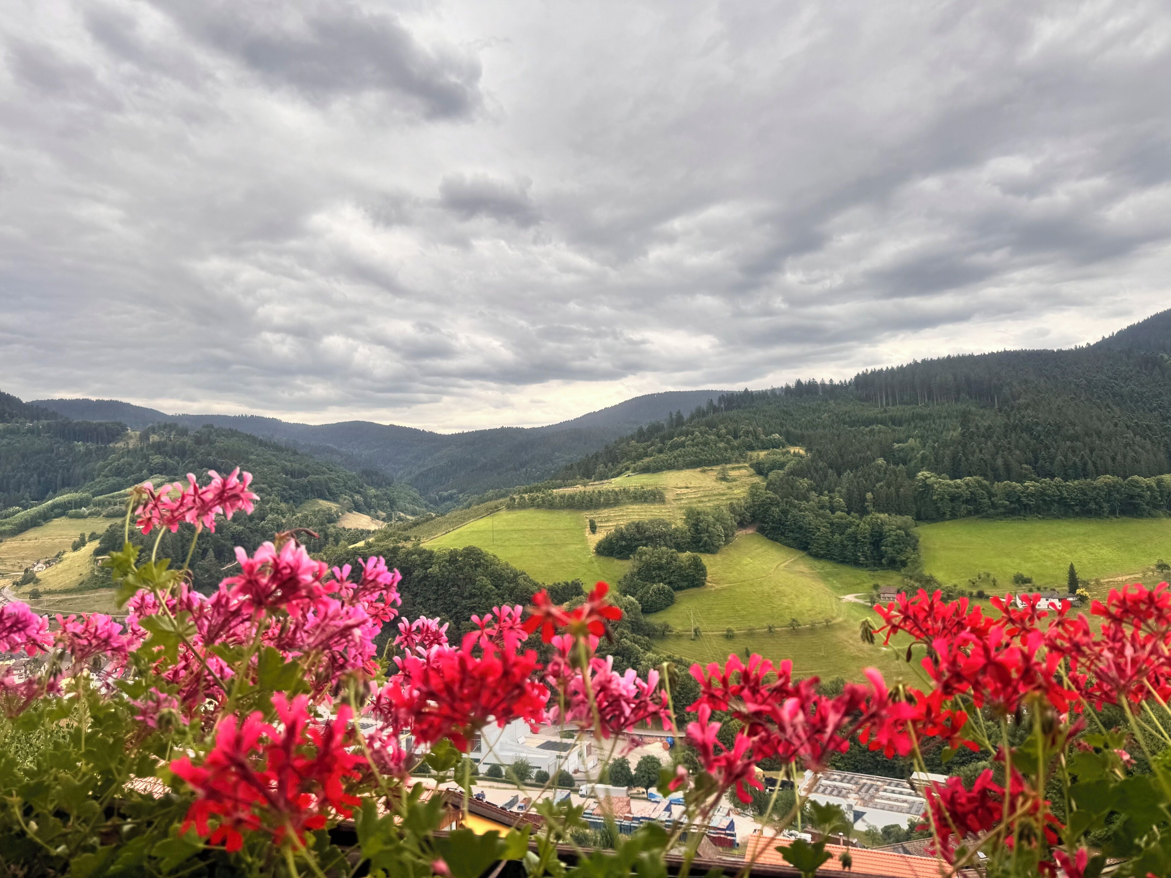 A view of a valley with green fields and a forested mountain range.