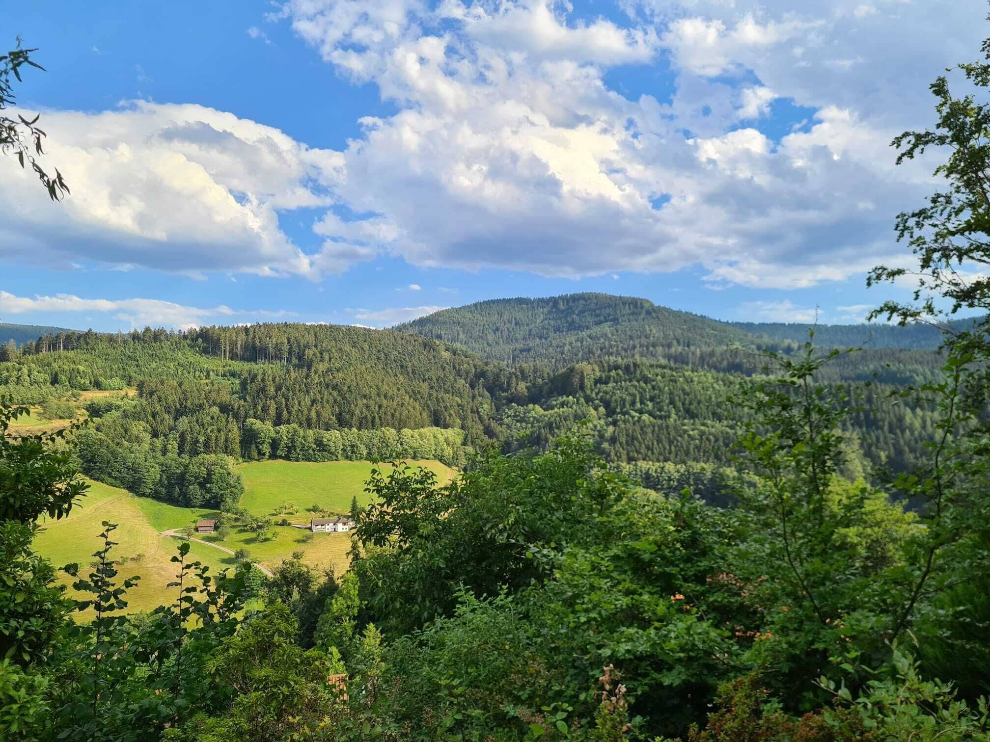 A mountainous landscape with a forested valley and a clear sky.