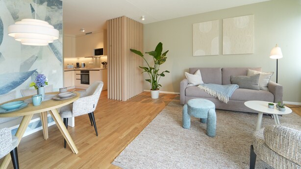 Uma sala de estar moderna com área de jantar, um sofá, uma mesa de centro e uma planta.