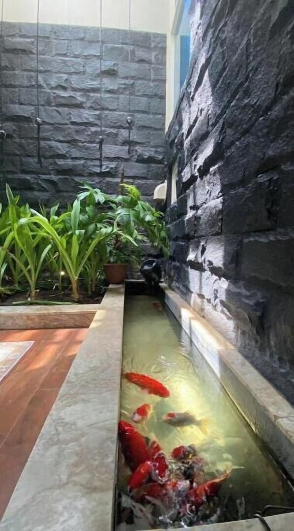 Wellness