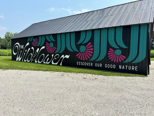 Ein Gebäude mit einer großen Schilderfassung, die 'The Wildflower' und 'DISCOVER OUR GOOD NATURE' zeigt.