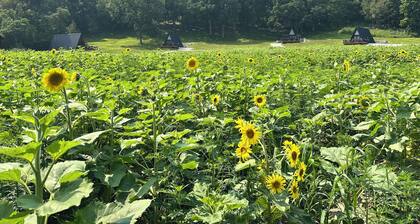 Cabin 2: Discover our good nature at The Wildflower