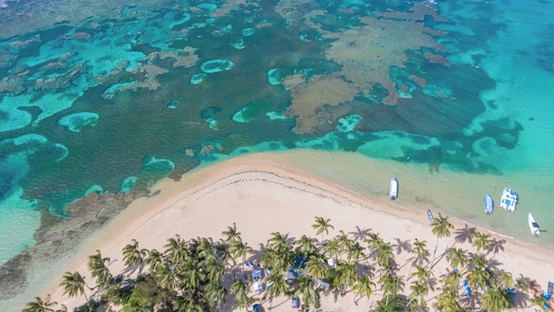 Une vue aérienne d’une plage aux eaux turquoise et limpides, bordée de palmiers et d’un rivage sablonneux.