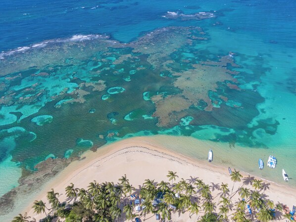 Beach nearby, sun-loungers