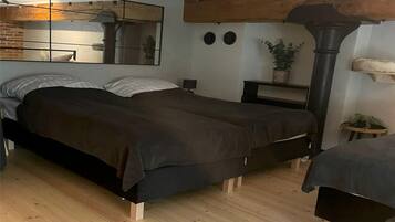 A bedroom with a bed, a mirror, a heater, and a potted plant.