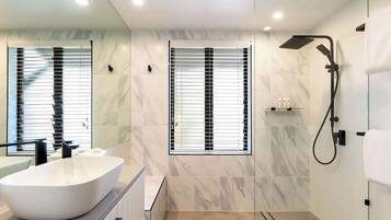 Shower, hair dryer, shampoo