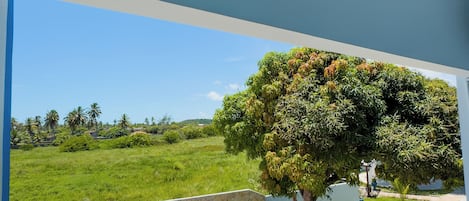 Suite superior, balcón, vista al jardín | Área de sala de estar