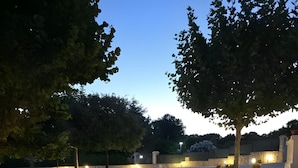 Ein gepflasterter Weg mit Steinmauern und Bäumen, beleuchtet durch Bodenleuchten.