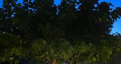 Villa Ada – Apartment 'Monica' mit privater Terrasse, WLAN und Klimaanlage