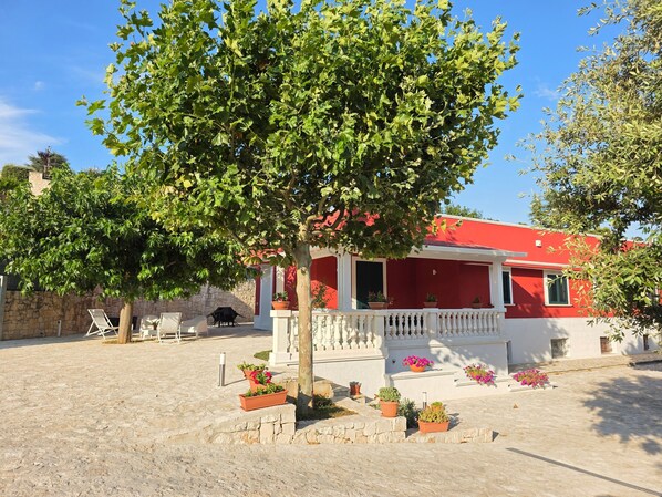 Terraza o patio