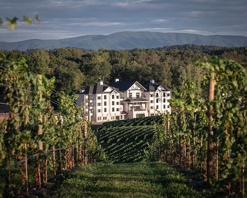 Nicewonder Farm & Vineyard