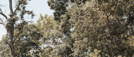 Overnatningsstedets område