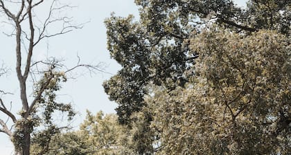 Cabin 4: Reconnect with each other and nature at The Wildflower.