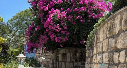 Spacious 5-bedroom kosher country home in the heart of the north district.