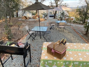Un patio al aire libre con una parrilla, una mesa de picnic y una sombrilla.