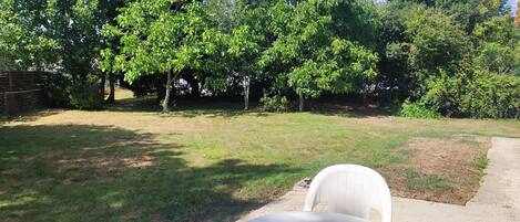 テラス / パティオ