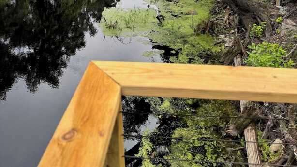 Una terraza de madera con vistas a un río tranquilo, rodeada de abundante vegetación y árboles.