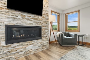 TV, fireplace, books