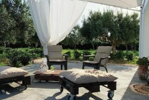 The court of the olive trees - 1