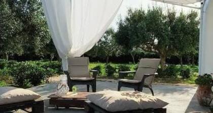 The court of the olive trees - 1